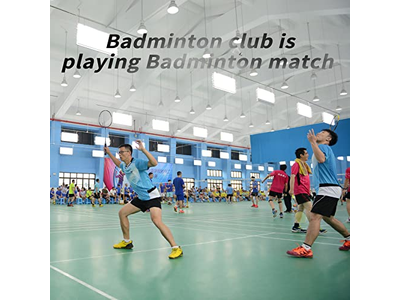 Professional Badminton Rackets Set of 4