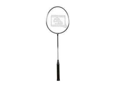 Sports 4-Player Badminton Set with 4 Rackets,