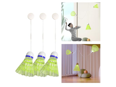 Professional Badminton Trainer Self Study